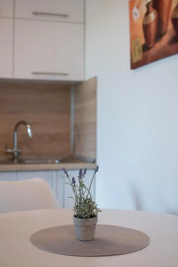 Gasthof Lavanda House With Apartments Buje